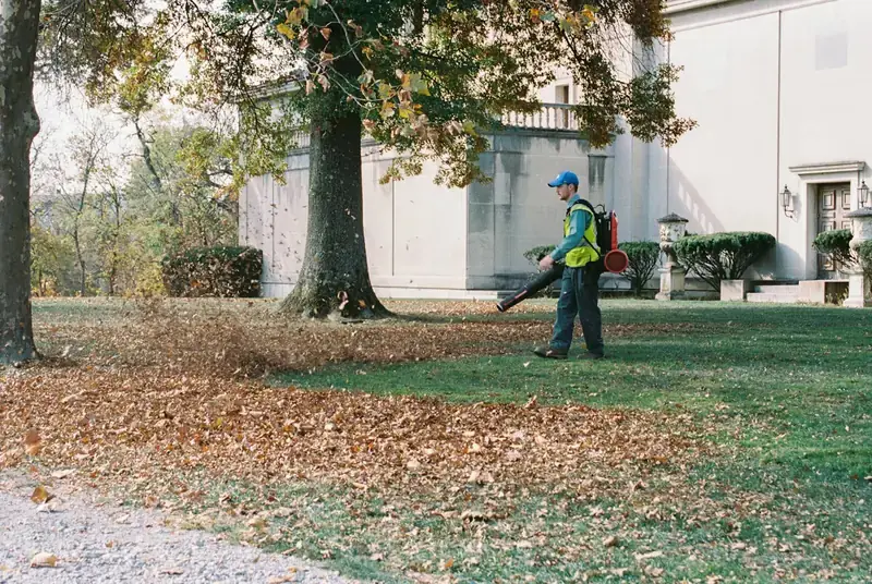 Worker clearing fallen leaves from a lawn with a leaf blower
